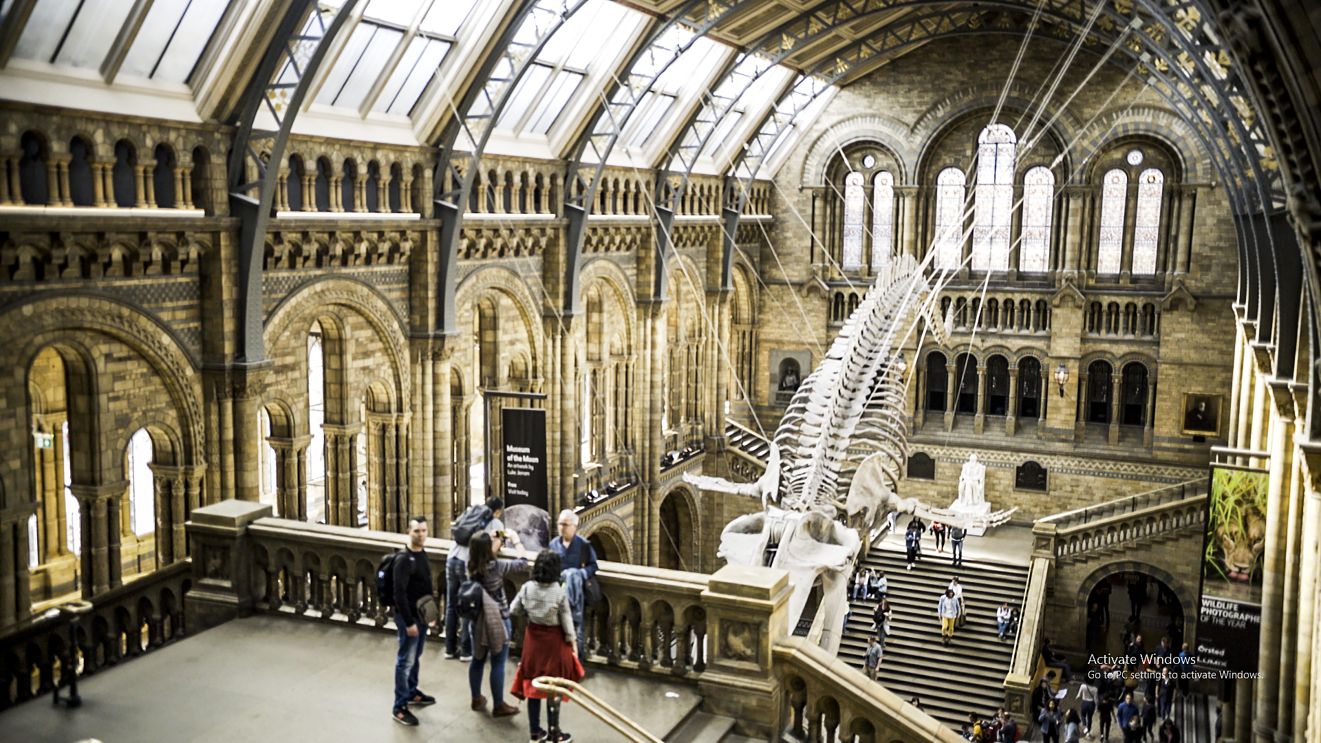 The Natural History Museum